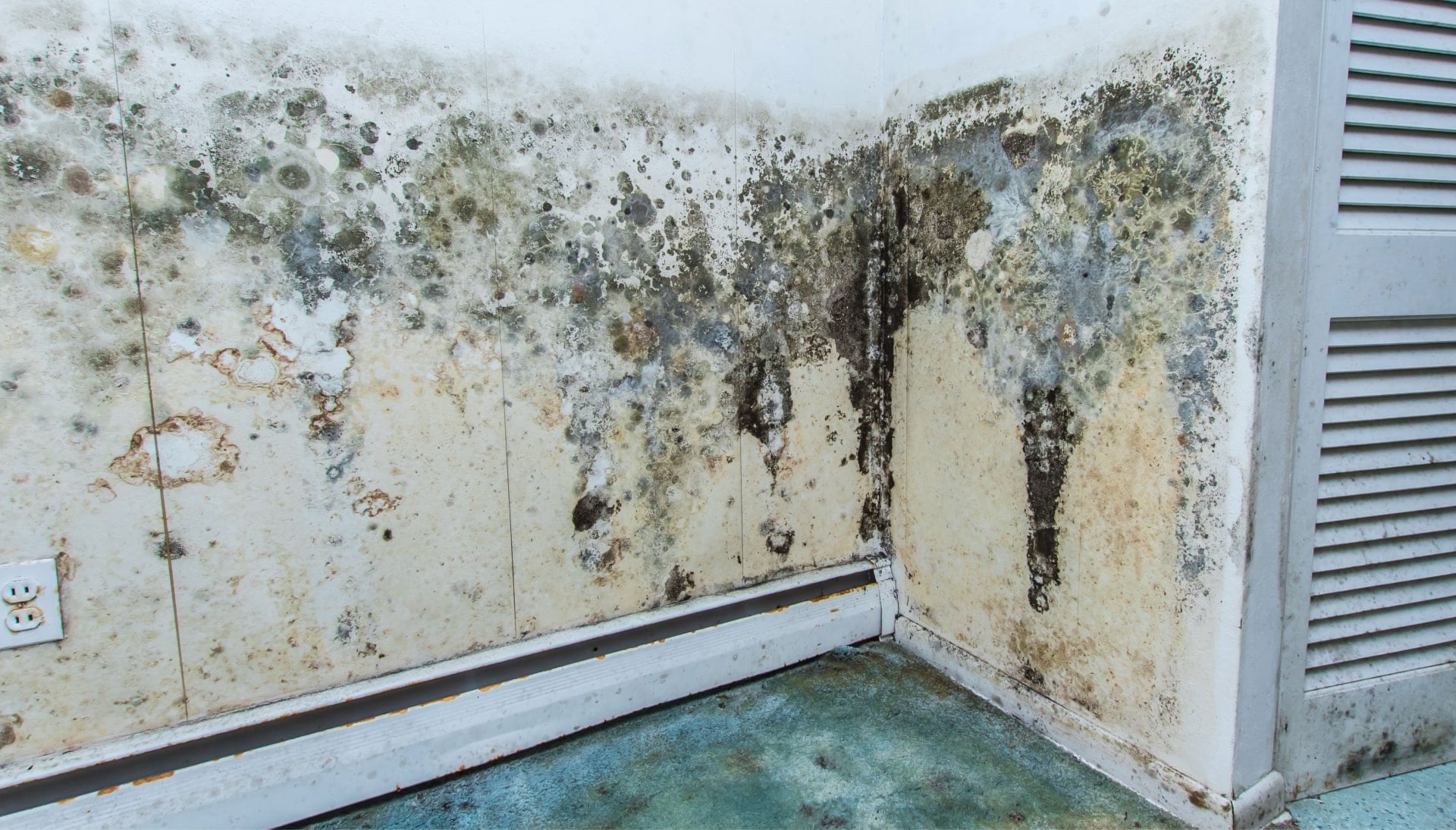 Mold-Damager-Odor-Control in Washington